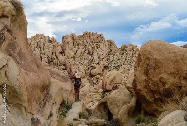 Obraz Desert Boulder Formations in Joshua Tree