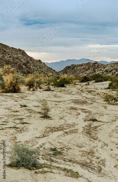 Obraz Mojave Desert Wash