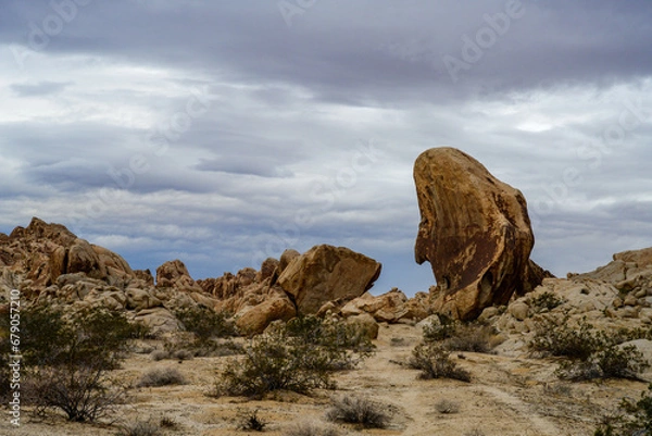 Obraz Whale Rock, Mojave Desert