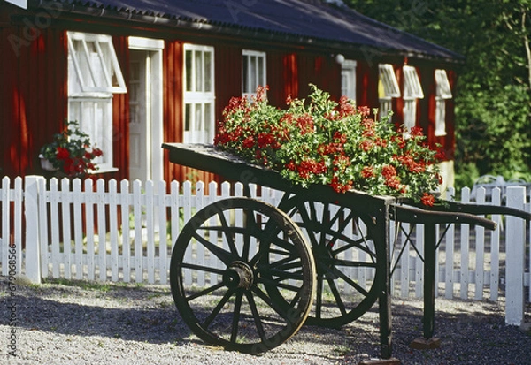 Fototapeta SIM-752342