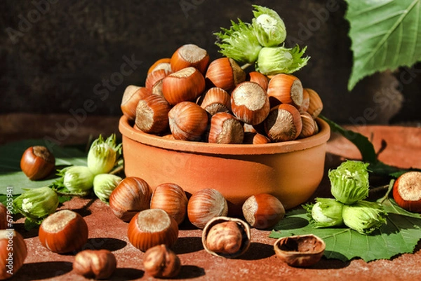 Fototapeta Hazelnuts in a clay bowl on a dark background. Hazelnut fruits. Fresh hazelnuts in ceramic dishes, brown background.