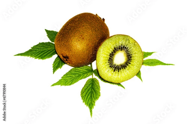 Obraz kiwi isolated