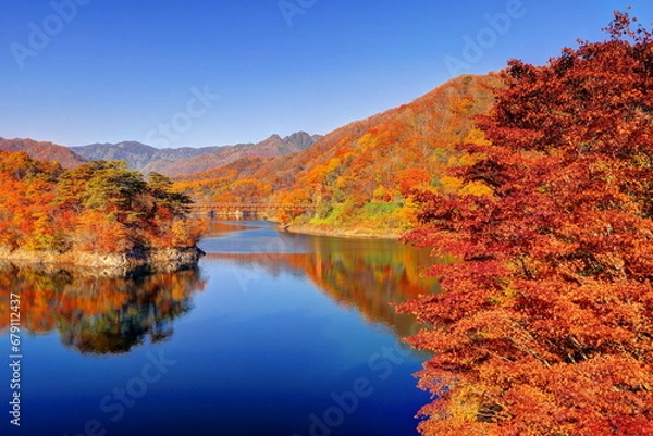 Fototapeta 川俣湖の秋
