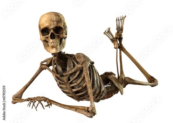 Obraz Ludzki szkielet ze szczegółowymi narządami anatomii