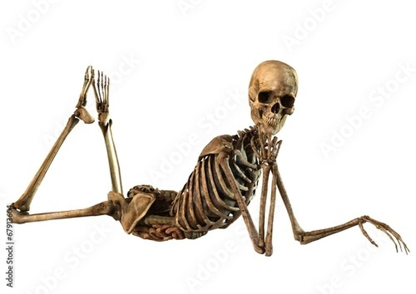 Obraz żeński szkielet ze szczegółowymi narządami anatomicznymi
