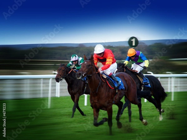 Obraz horse racing