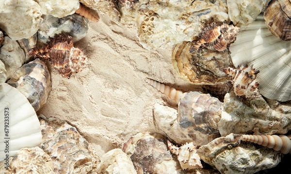 Obraz shells in the sand. Close-up,background,place for text