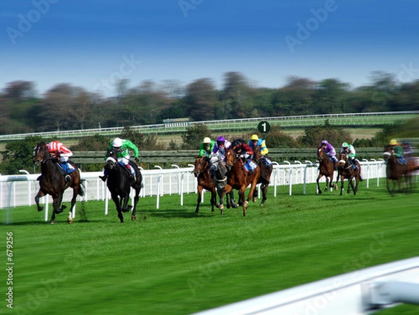 Fototapeta horse racing