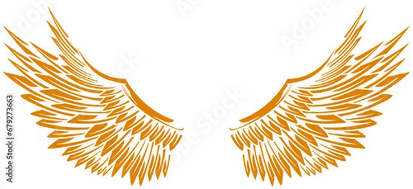 Fototapeta Eagle wings vector design
