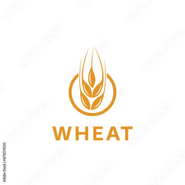 Fototapeta wheat logo vector icon design