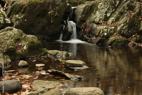 Obraz Small Water Fall
