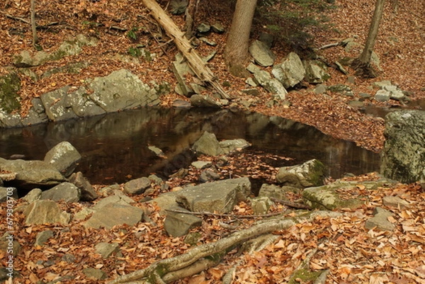 Fototapeta A Quiet Place