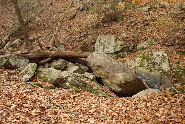 Obraz stone in the woods