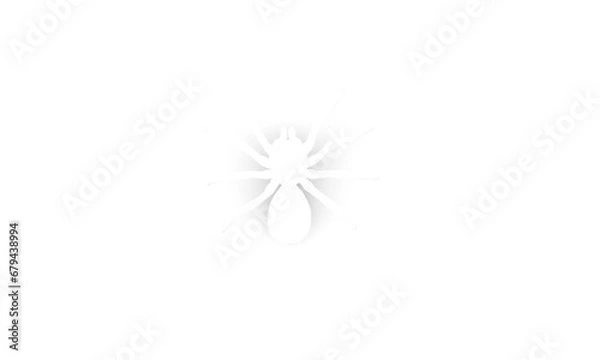 Obraz White Vector Spider