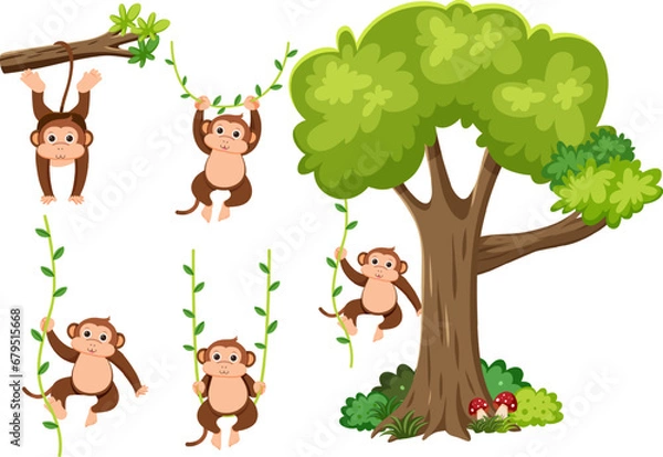 Fototapeta Monkey Vine Branch and Tree Elements in Vector Cartoon Style