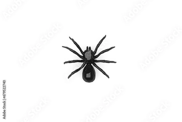 Obraz spider vector 3D