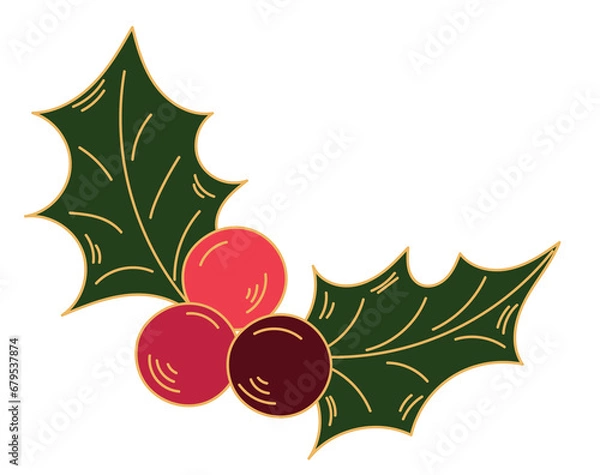 Obraz Christmas holly branch with berries sticker doodle style isolated on transparent background