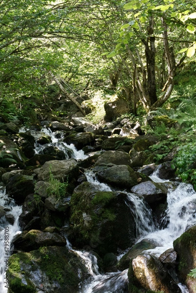 Obraz cascade dans la montagne