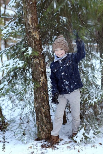 Fototapeta winter. boy under a snow-covered tree. The boy shakes a branch with snow
