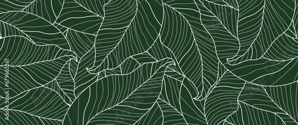 Fototapeta Tropical leaf line background vector. Abstract botanical leaf line in minimalist linear style. Design for fabric, print, cover, banner, decoration, wallpaper.