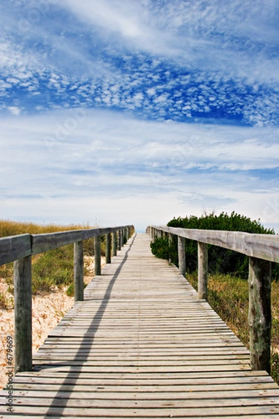 Fototapeta wood path