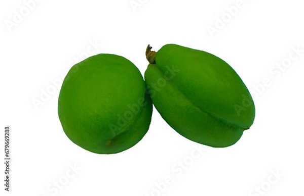 Obraz Unripe apricot fruit on a white background