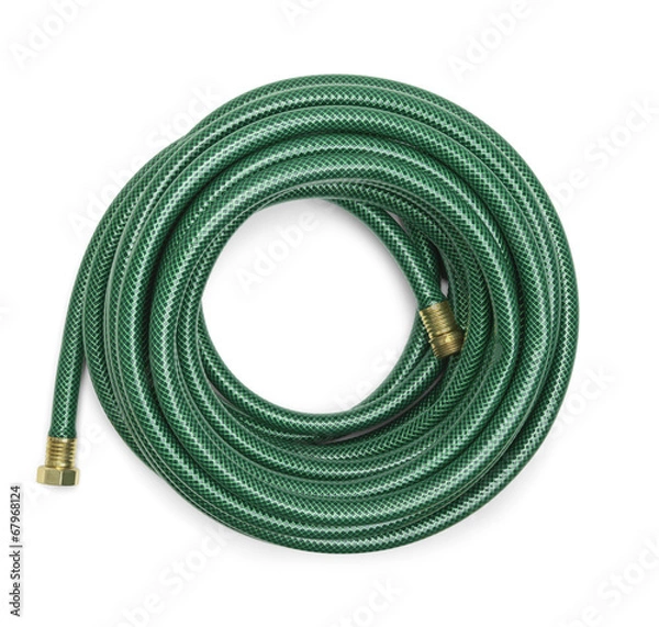 Obraz Wąż ogrodowy zielony