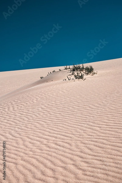 Fototapeta Pecenescal 2