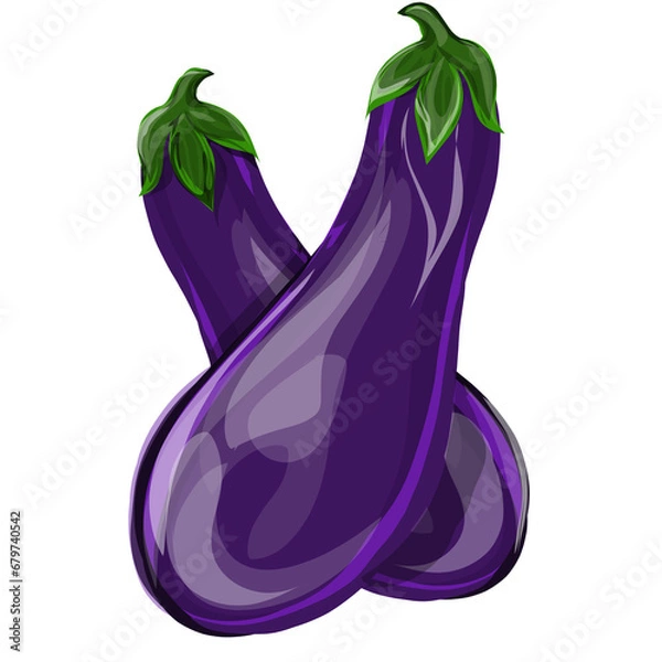 Obraz image of two purple eggplants, without background