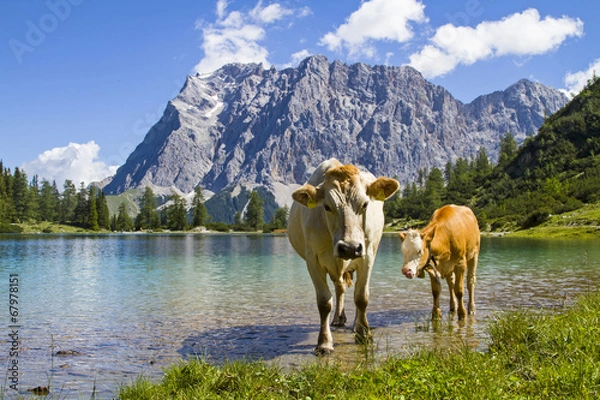 Obraz Almidylle im Wettersteingebirge