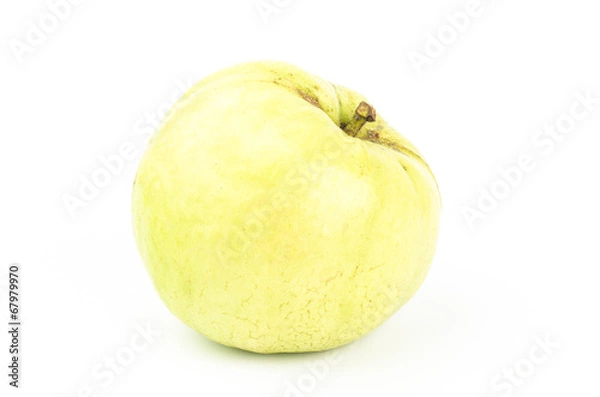 Fototapeta Fresh guava fruit