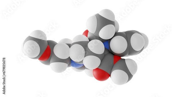 Fototapeta remifentanil molecule, opiate agonists, molecular structure, isolated 3d model van der Waals
