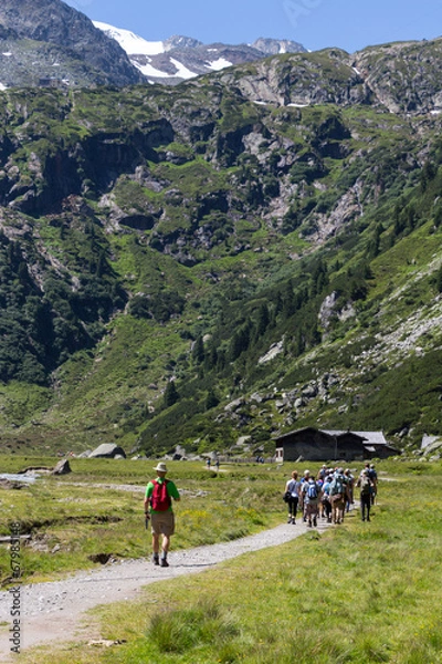 Obraz Chemin pour randonneurs