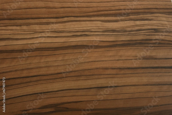 Obraz Modern texture.