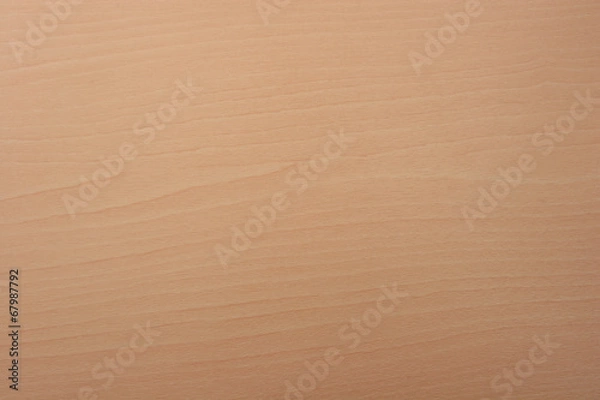 Obraz Golden beech woodgrain