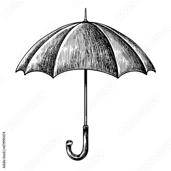 Obraz Umbrella vintage vector sketch illustration 