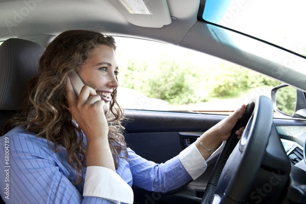 Obraz Distracted Driver