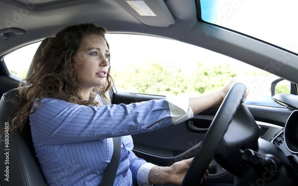 Obraz Serious Driver