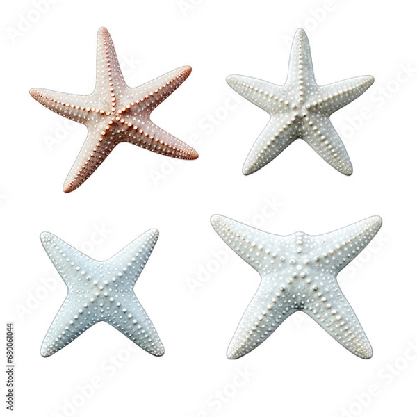 Fototapeta Starfish Set on White Isolated on Transparent or White Background, PNG
