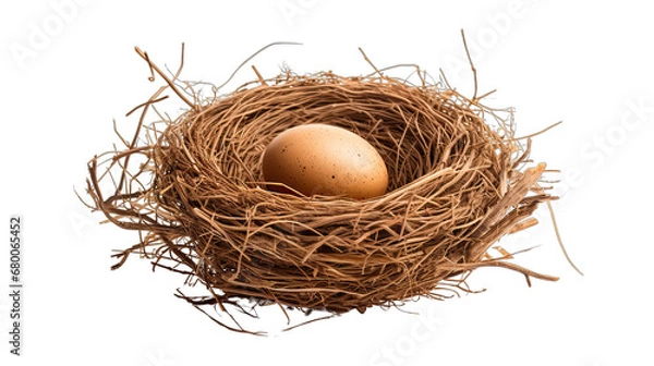 Fototapeta Bird's Nest with Egg Isolated on Transparent or White Background, PNG