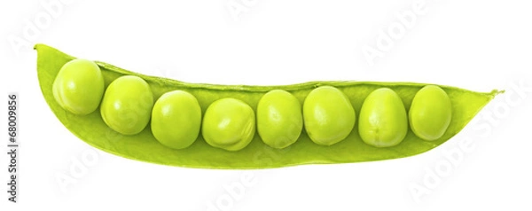 Obraz Otwórz grochu na białym tle
