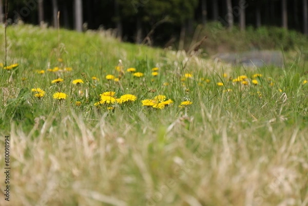 Obraz 秋田県藤里町にて６