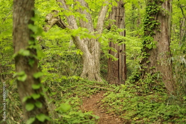Obraz 秋田七座山にて２２