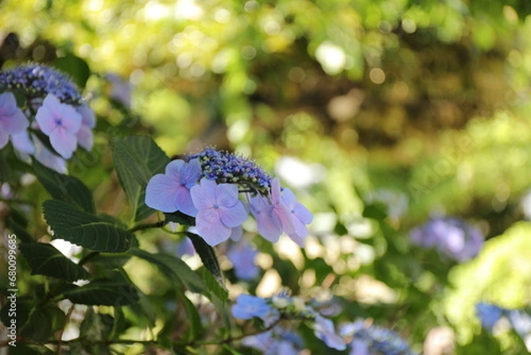 Obraz 川崎大師にて