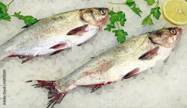 Fototapeta Fresh fish on ice