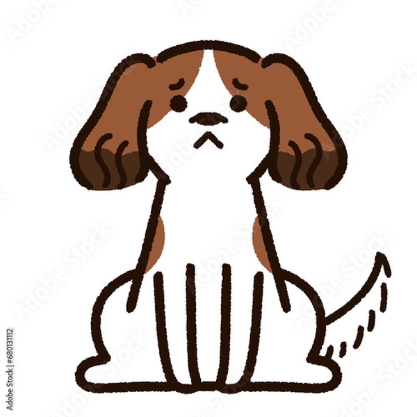 Fototapeta 悲しそうなコーイケルホンディエ