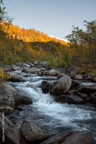 Fototapeta River flows in the vast landscape of Swedish Lapland on an autumn evening with surrounding autumn colors