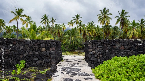Fototapeta Hawaii palm trees on sacred ground with lava rocks