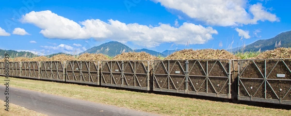 Obraz Cane train loaded with sugar cane