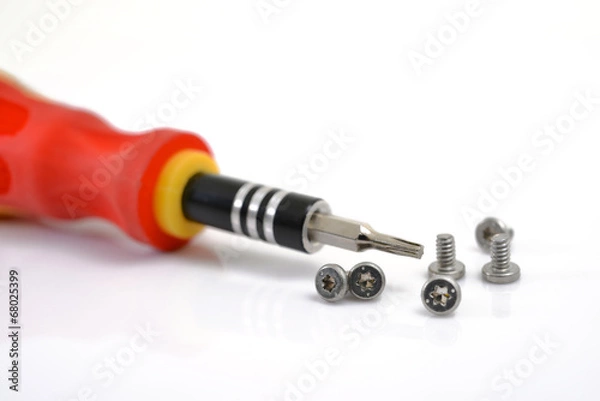 Obraz Screwdriver and Bolts